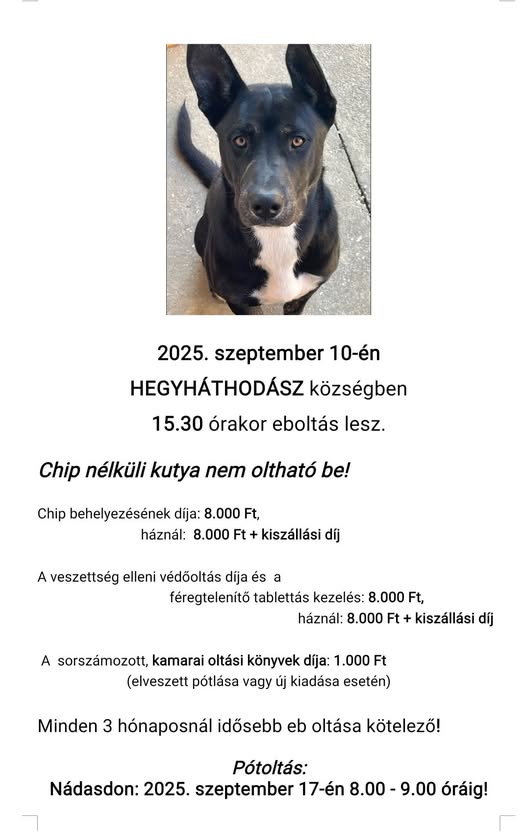 EBOLTÁS 2025.09.10.  15:30