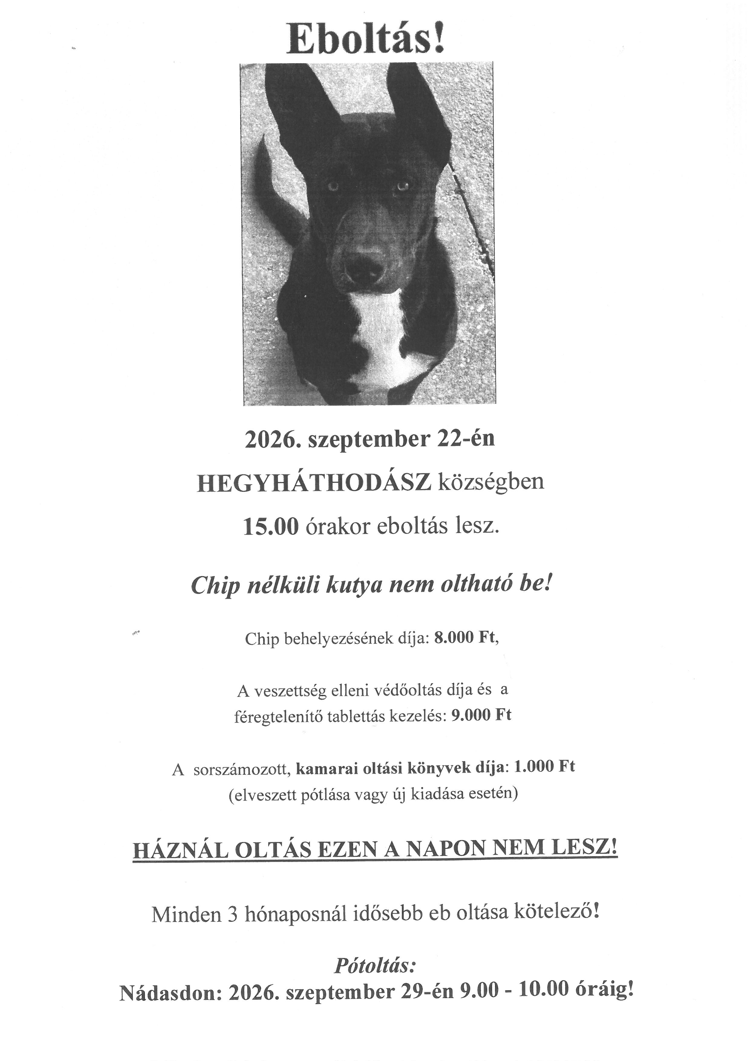 EBOLTÁS 2026.09.22. 15:00