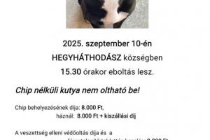 EBOLTÁS 2025.09.10.  15:30
