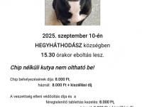EBOLTÁS 2025.09.10.  15:30