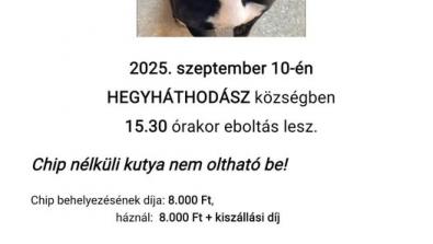 EBOLTÁS 2025.09.10.  15:30